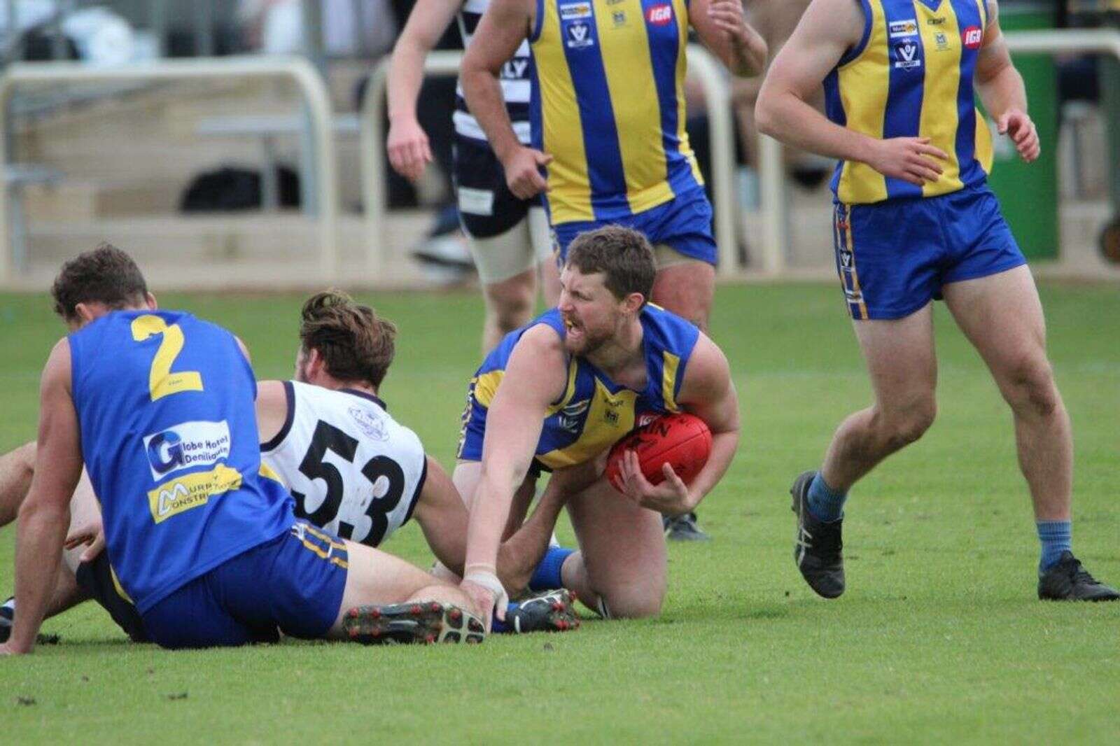 Deni rams old rivals | Deniliquin Pastoral Times