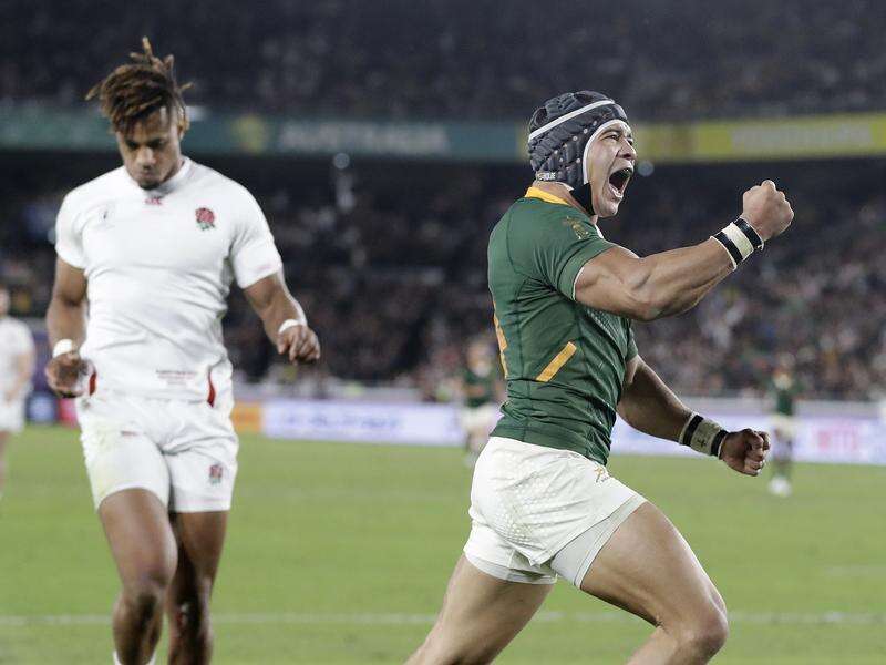 Springboks and England set for epic 2019 final renewal | Kyabram Free Press