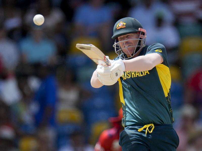 David Warner eyes end of sandpaper 'flak' in retirement Shepparton News