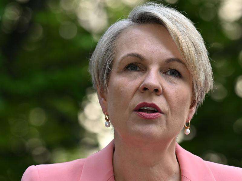 Australia: environmental laggard to leader | Shepparton News