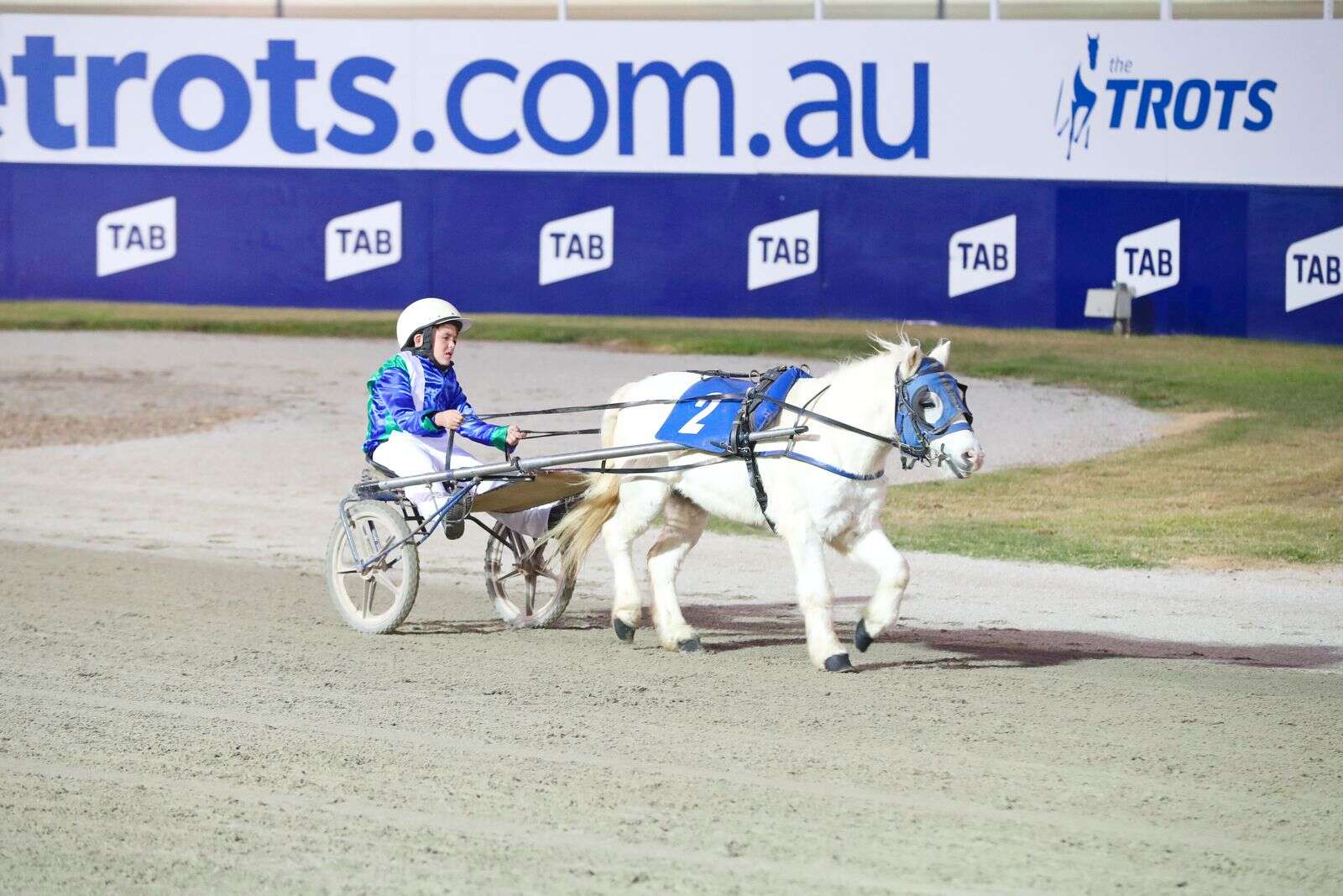 Goulburn Valley locals set to represent Victoria on Mini Trots’ biggest ...