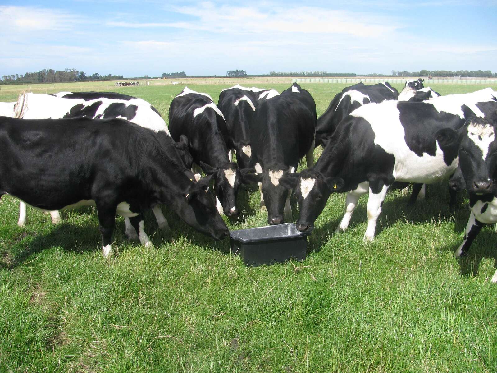 Sustain health and performance