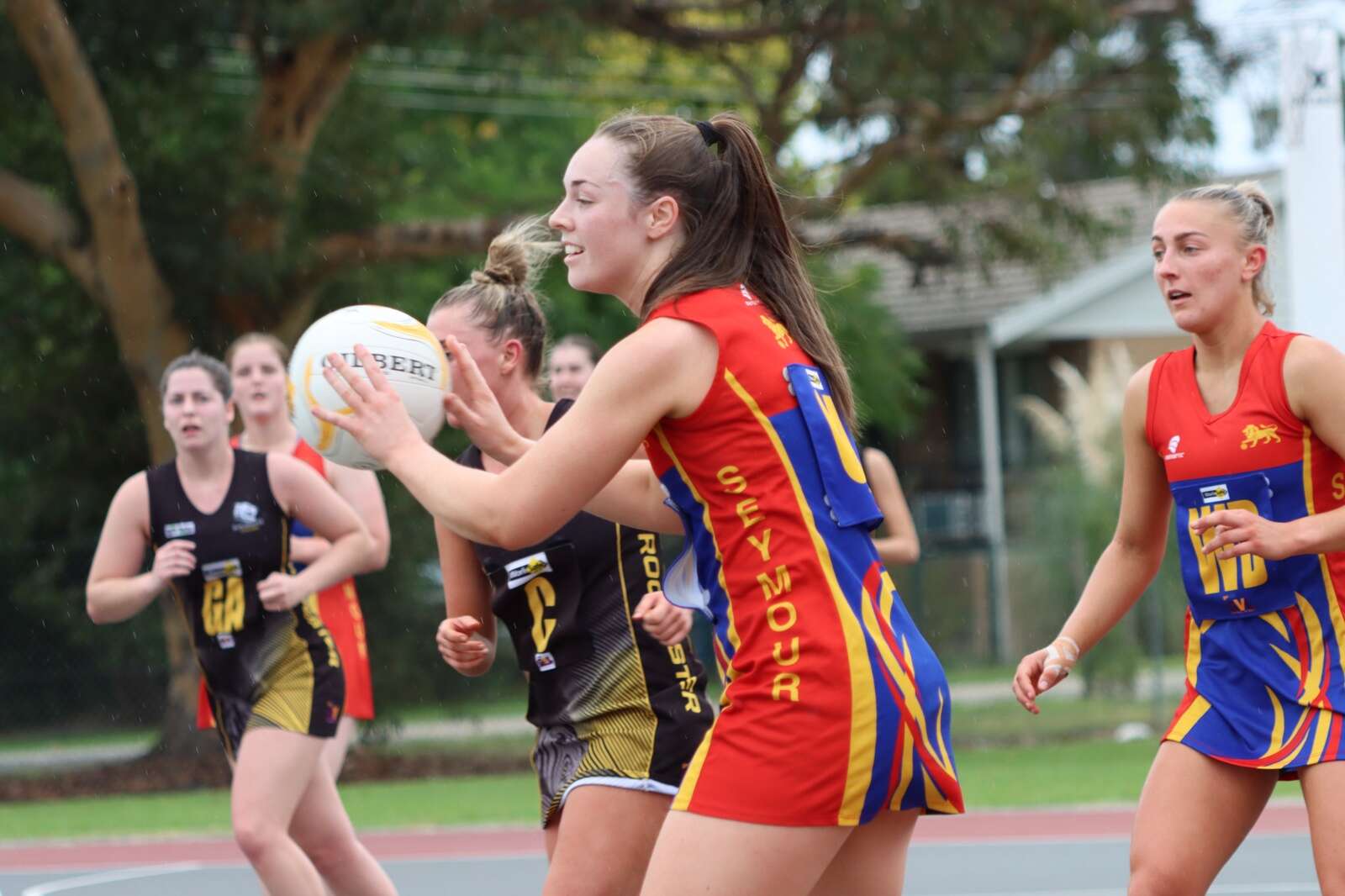 Seymour celebrates Casey Adamson’s 50th match in style Seymour Telegraph