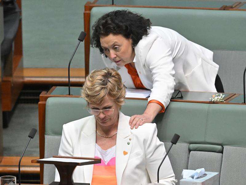 'A stone in our hearts': Tears as MPs honour Haines