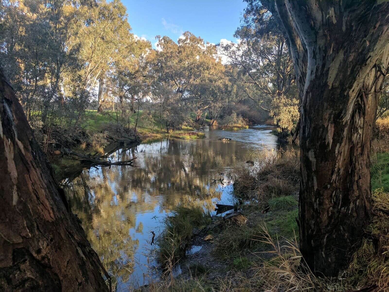 Campaspe River flow surge | Deniliquin Pastoral Times