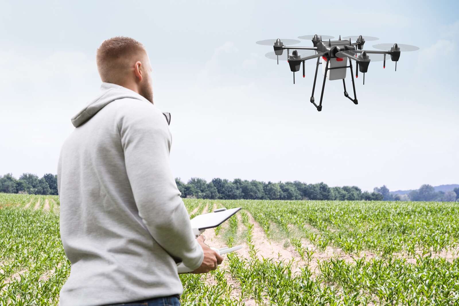 AgTech in Australian dairy farming | Dairy News Australia