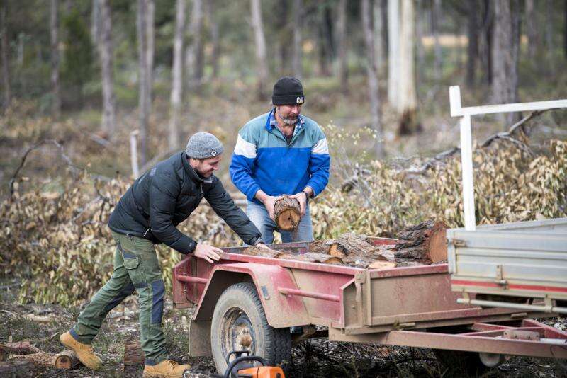 Spring firewood collection season opens across Victoria Benalla Ensign