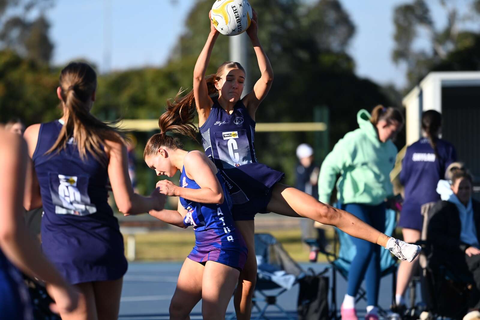 Cats come up clutch for milestone moment while Bears swamp Swans after ...