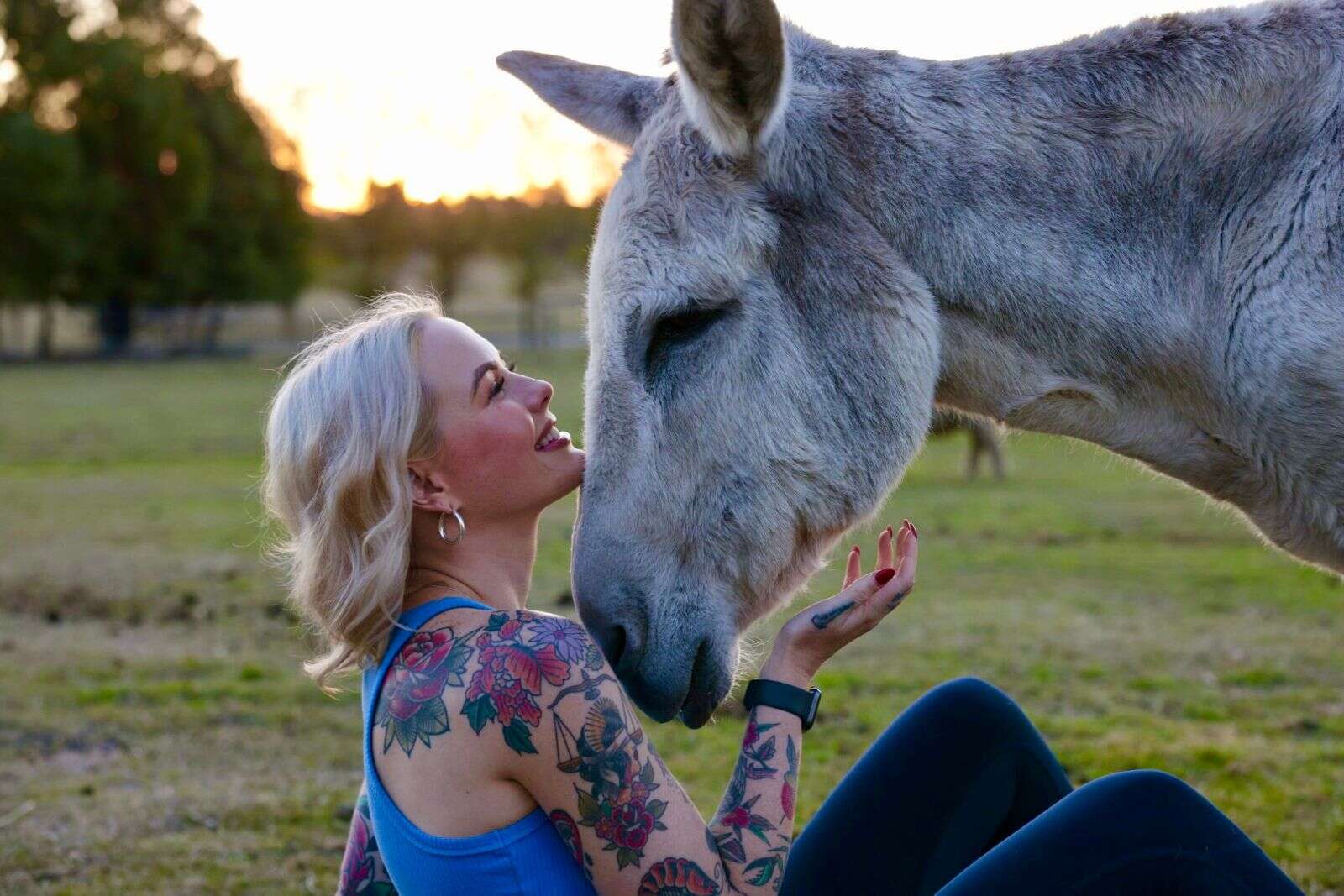 Animal Justice names candidate | Shepparton News