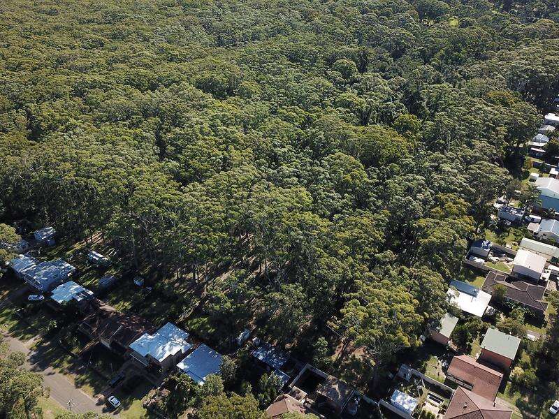 Tree changers push NSW land value up 400b Dairy News Australia