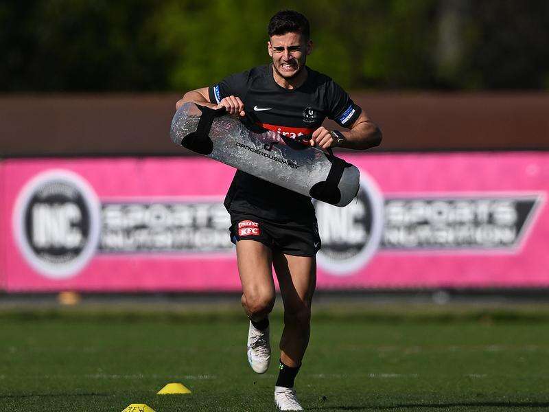 Nick Daicos ramps up training as AFL return looms Shepparton