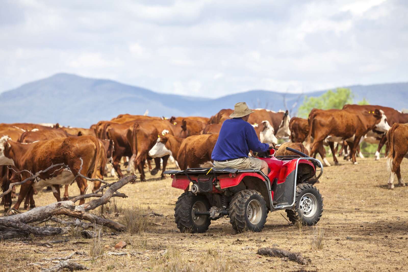 Sharp rise in farm injuries | Dairy News Australia