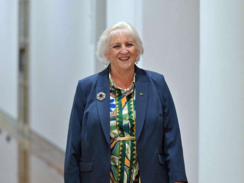 Door opens for Nationals leader's lower house move