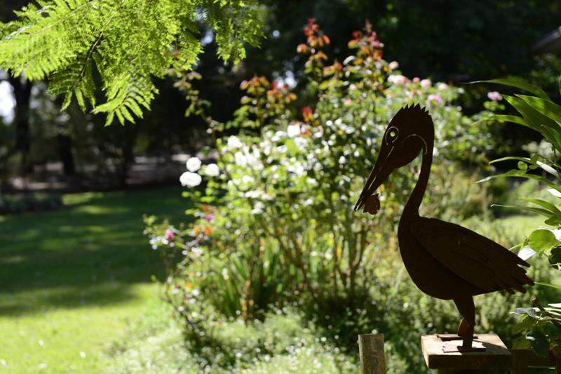 Yarrawonga & District Garden Club Spring Show Yarrawonga Chronicle