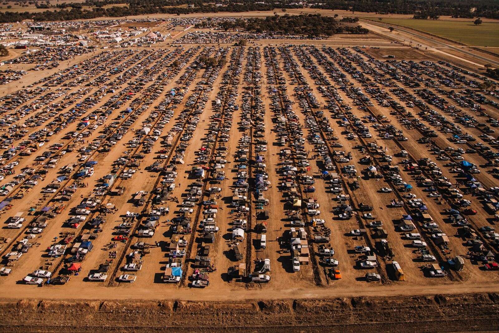 On track for 20,000 at Muster | Dairy News Australia