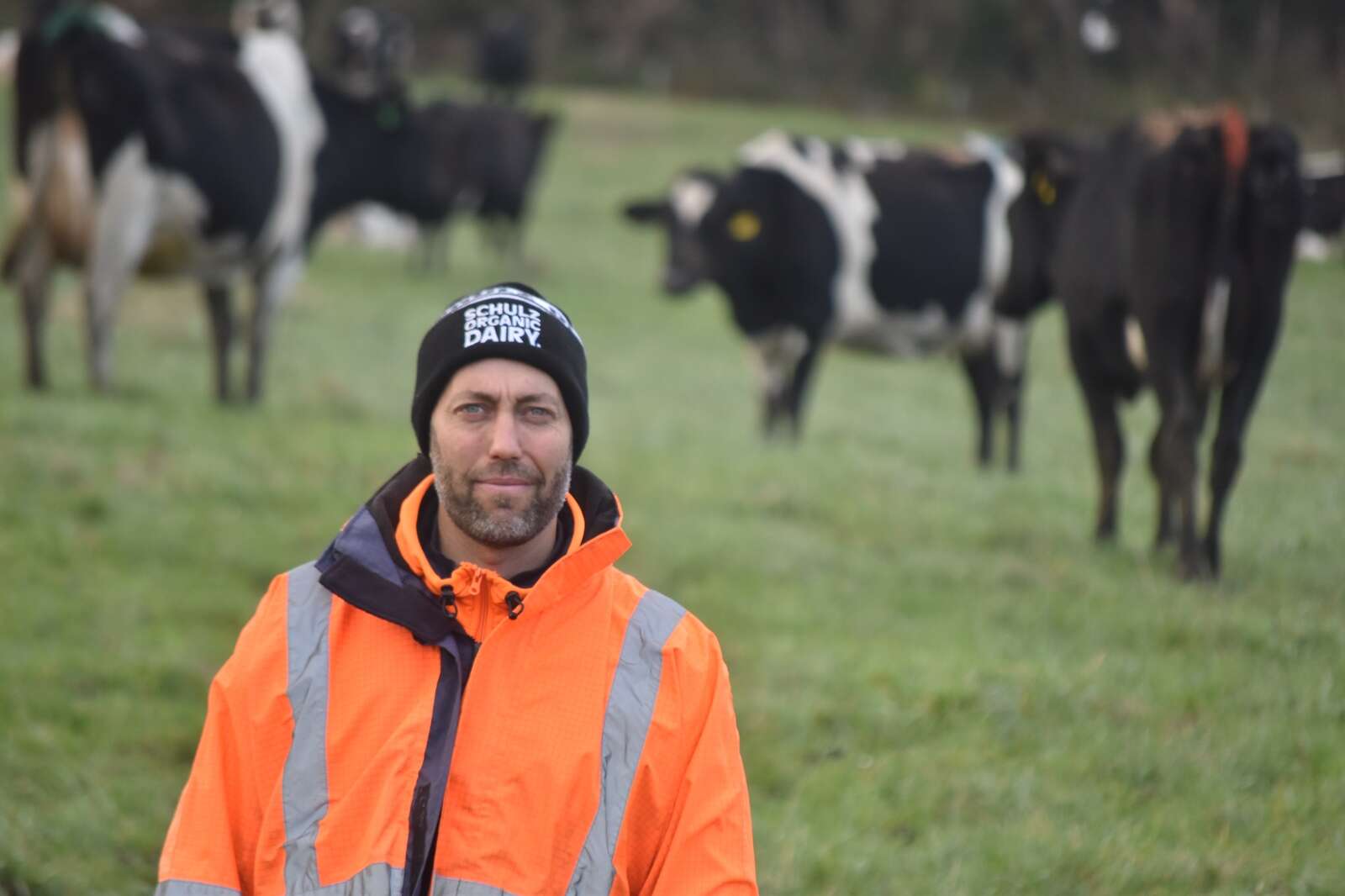 Organic milk success