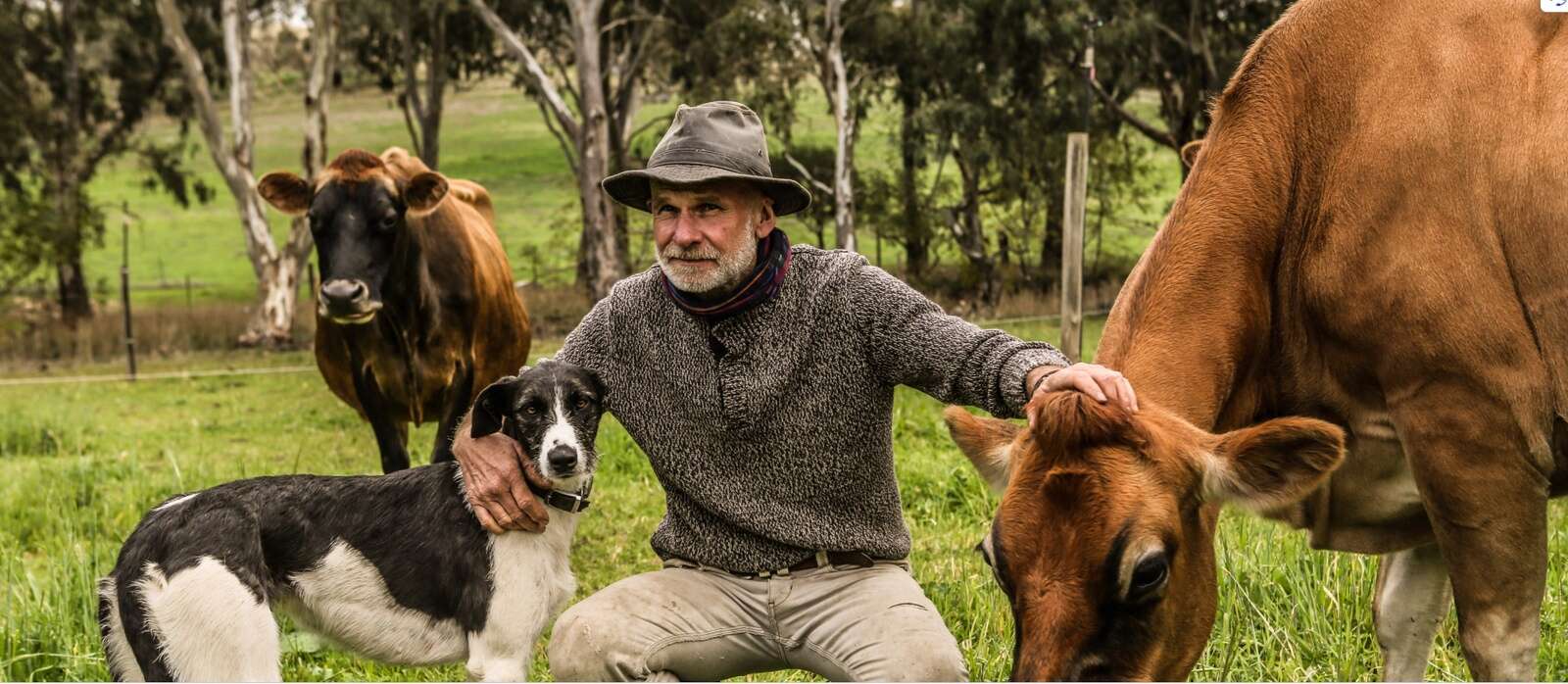 Dairy is central to success | Country News