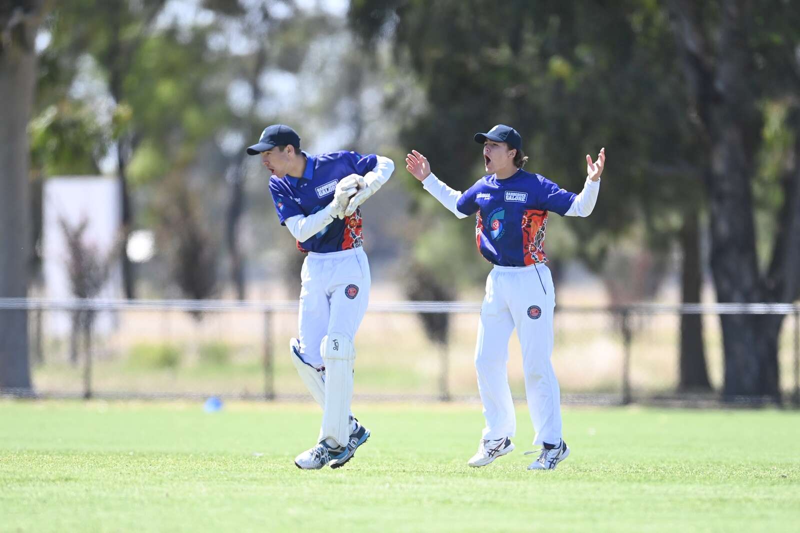 Check out how Cricket Shepparton’s teams fared at this year’s Junior ...