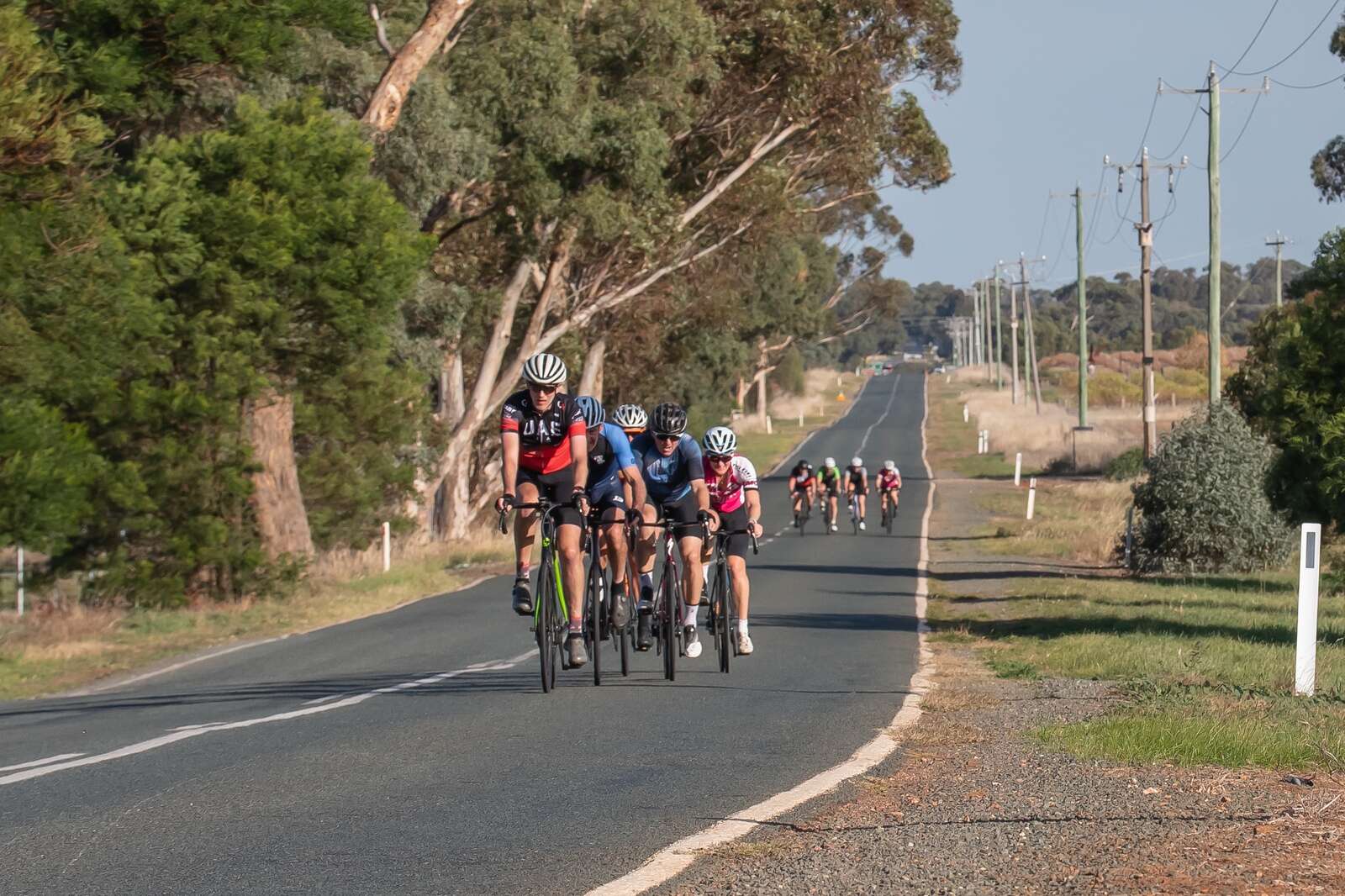 Woods and Griffiths win handicaps | Shepparton News
