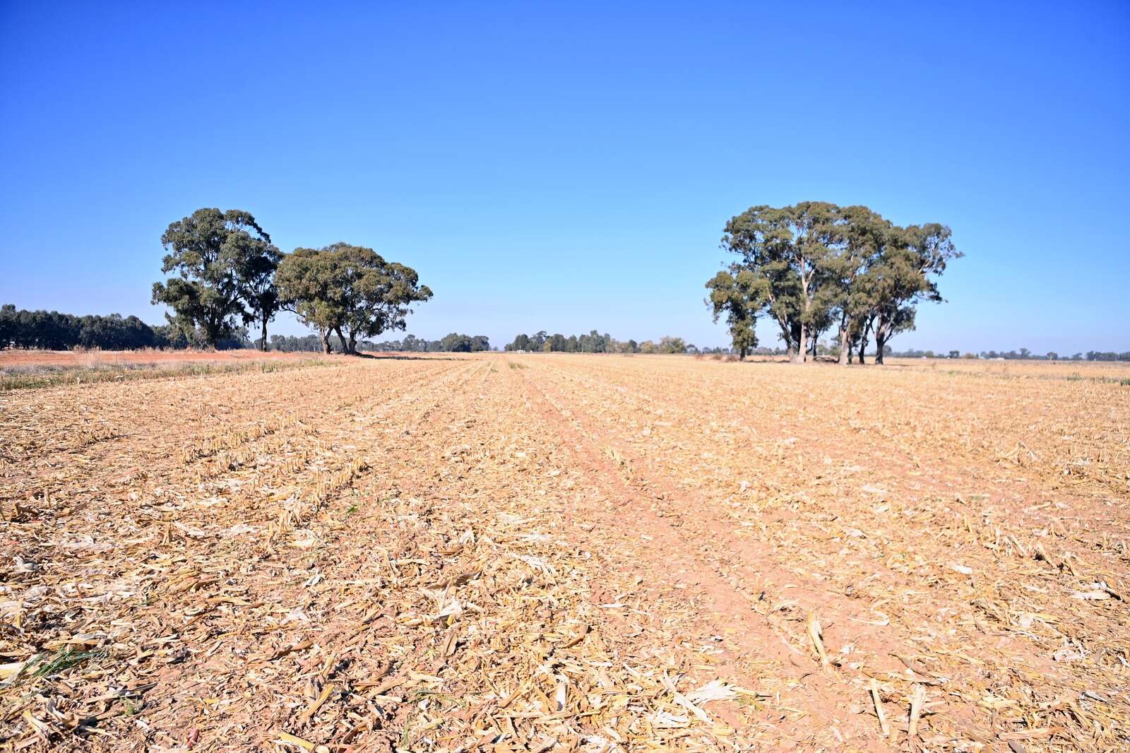 Victoria’s 2025 was warm and dry