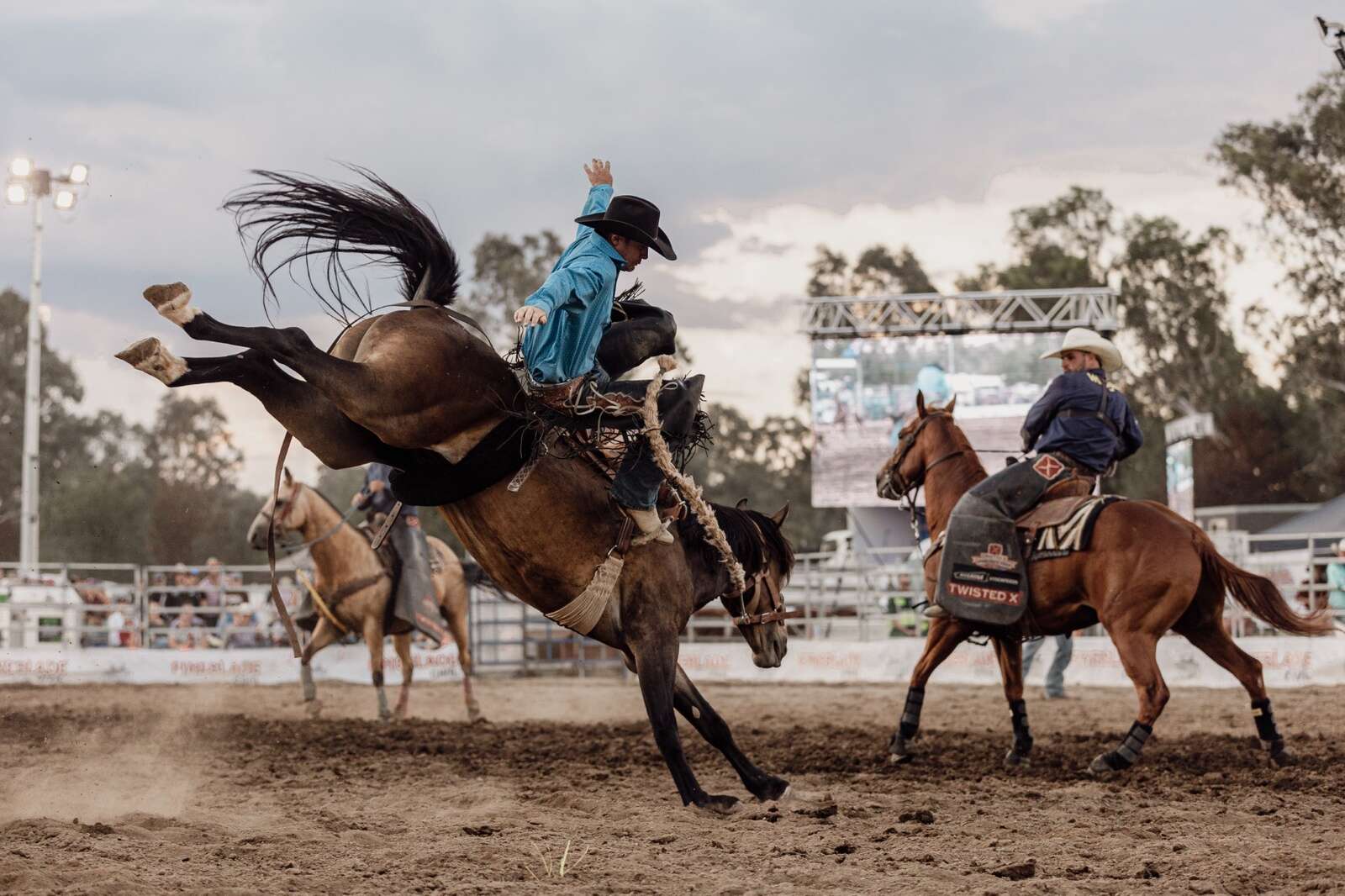 Rodeo bucks back for bushfire relief | Seymour Telegraph