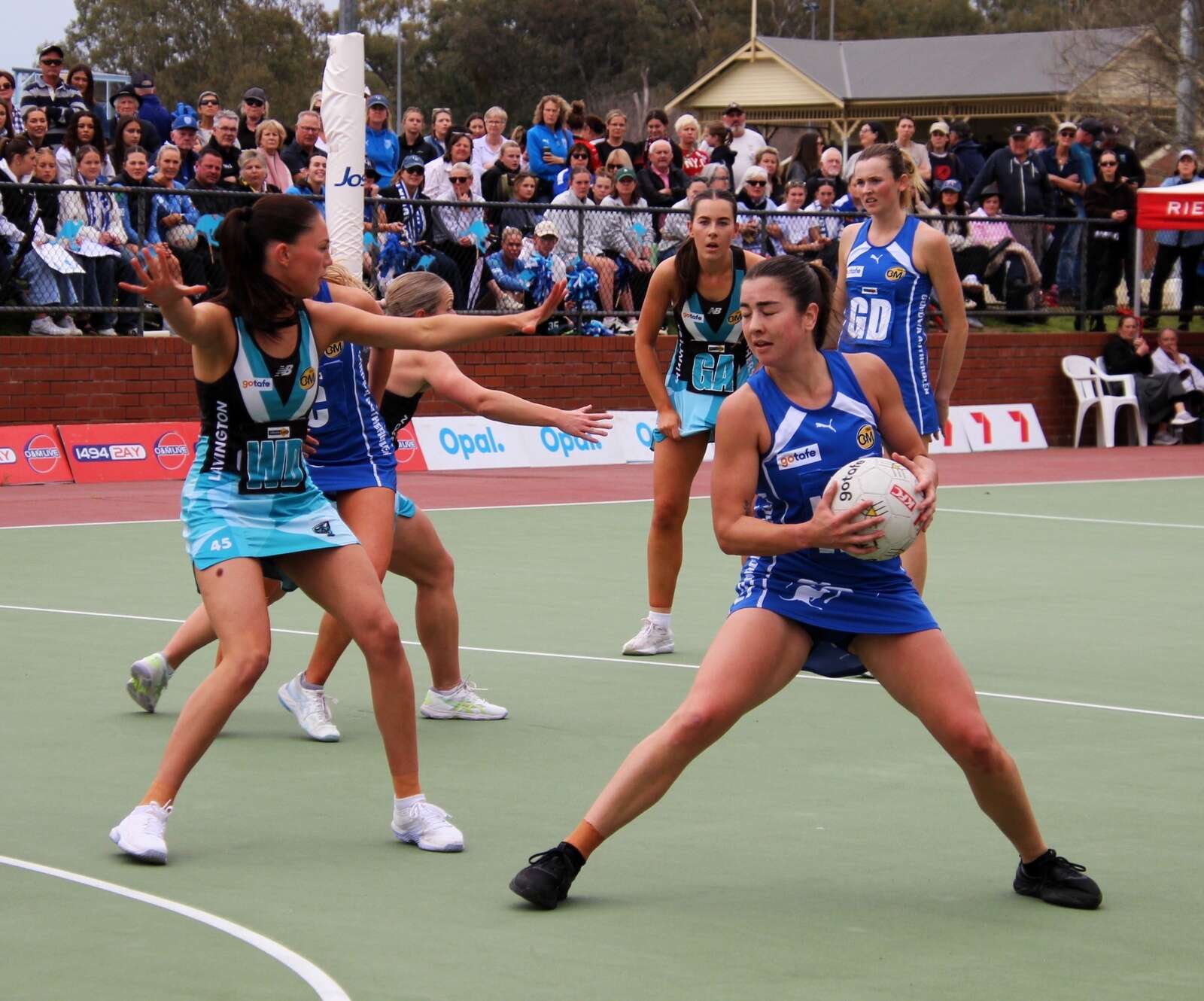 A Grade Panthers finish Roos season