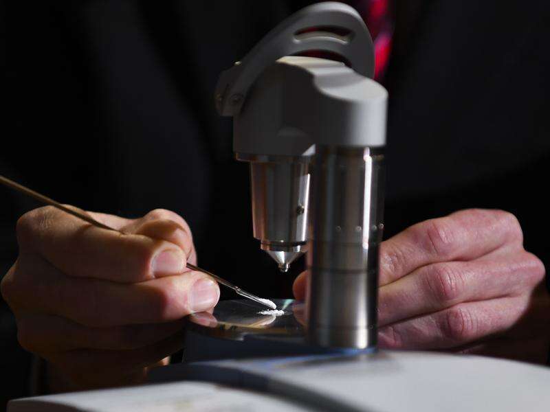 Queensland to examine pill test trial Country News