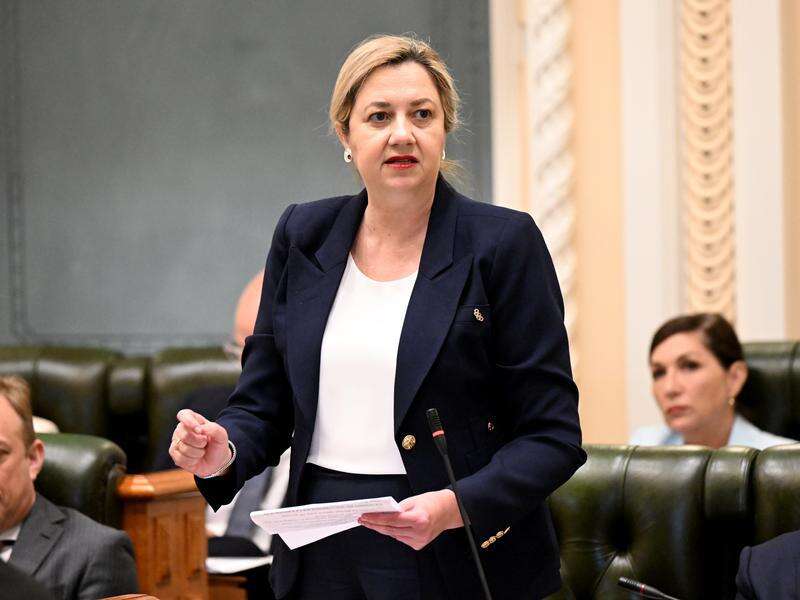 Indigenous treaty bill go before Queensland parliament | Shepparton News