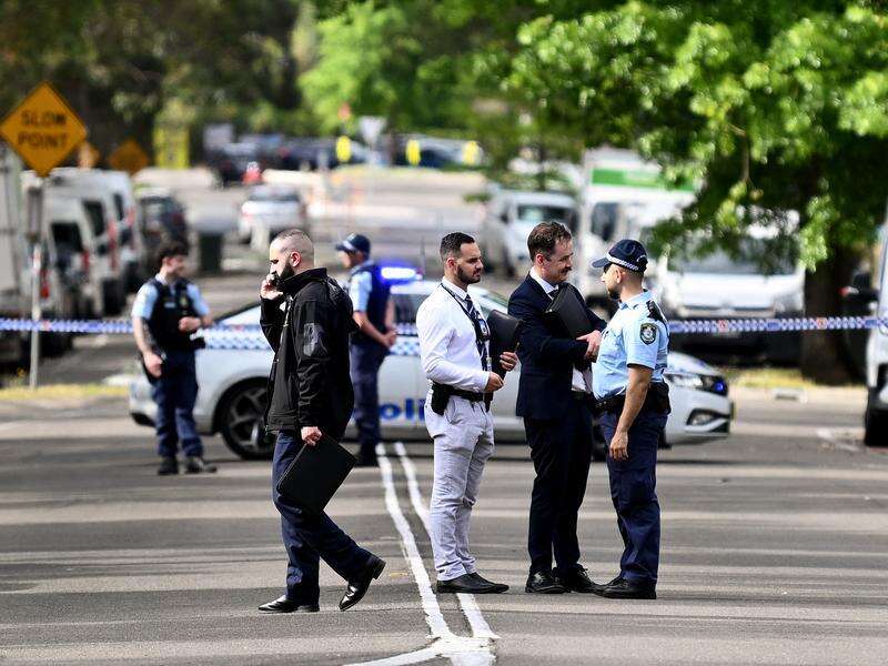 Two shot as police track car stolen from MP's home | Riverine Herald