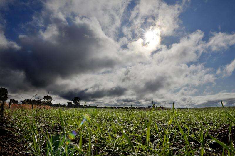 Goulburn Valley drenched: Farmers welcome heavy rains | Deniliquin ...