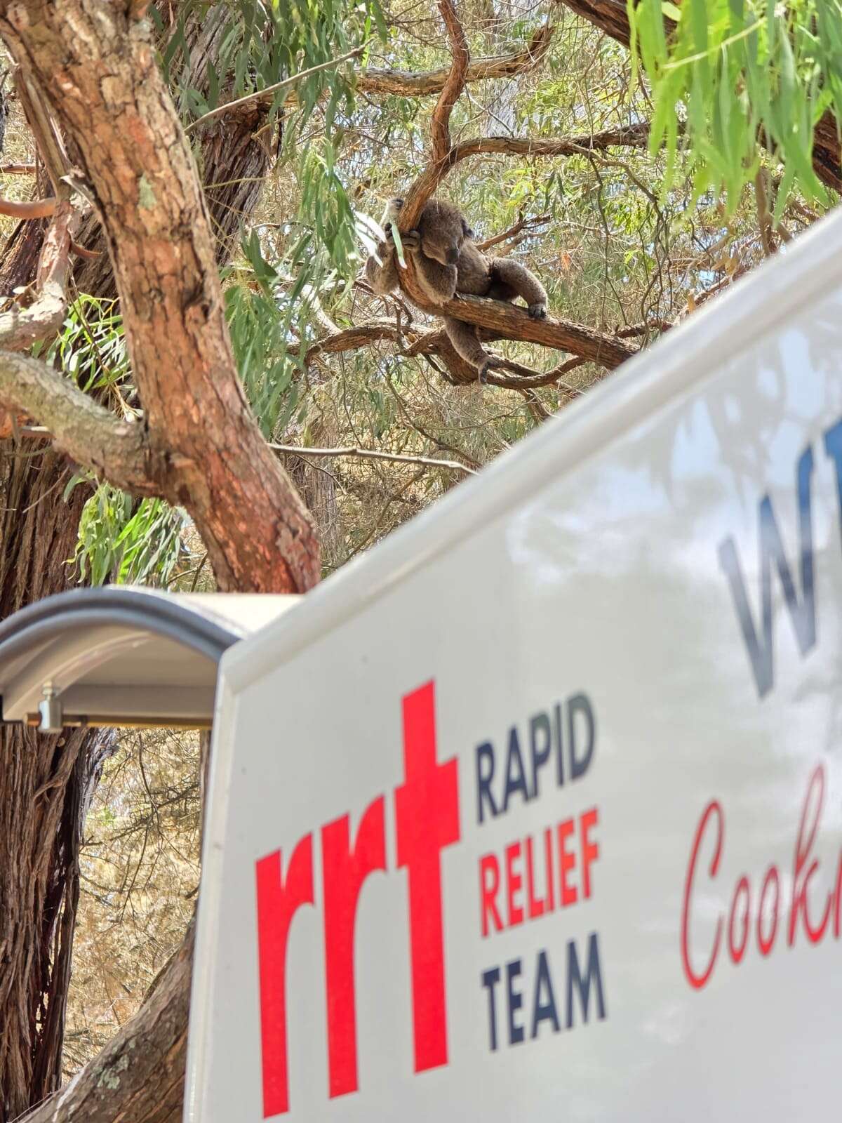 NSW non-profit to deliver 215km of fencing to fire-affected farmers
