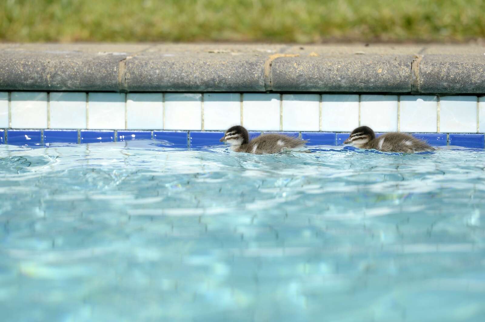 Shepparton spring — was it hot or cold, dry or wet? | Country News