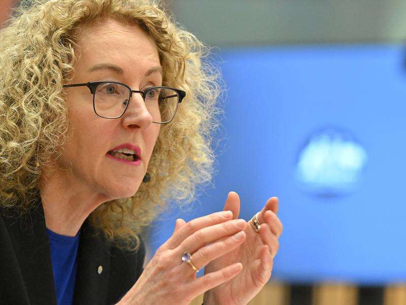Workplace ombudsman recovers 532m in underpayments Country News