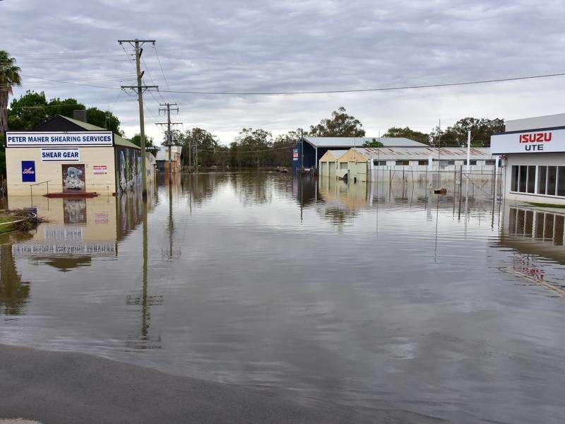 NSW flooding crisis enters 75th day Shepparton News