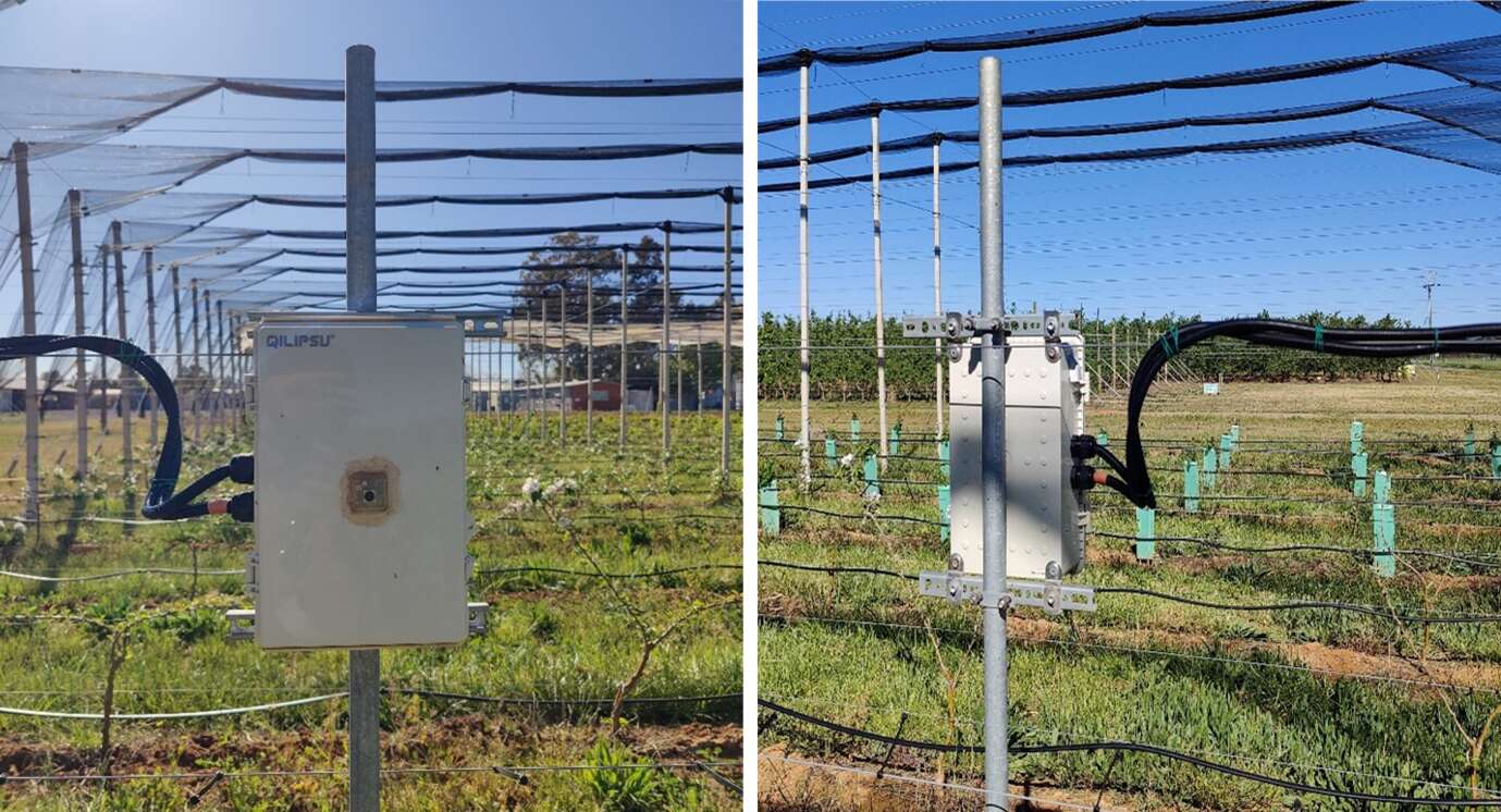 New vision for orchards