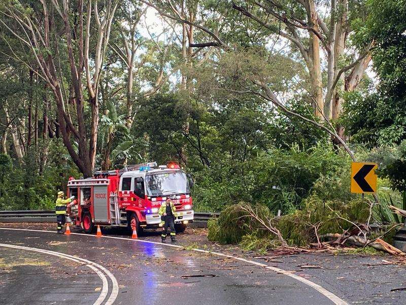 NSW residents prepare for severe weather, wild winds | Seymour Telegraph