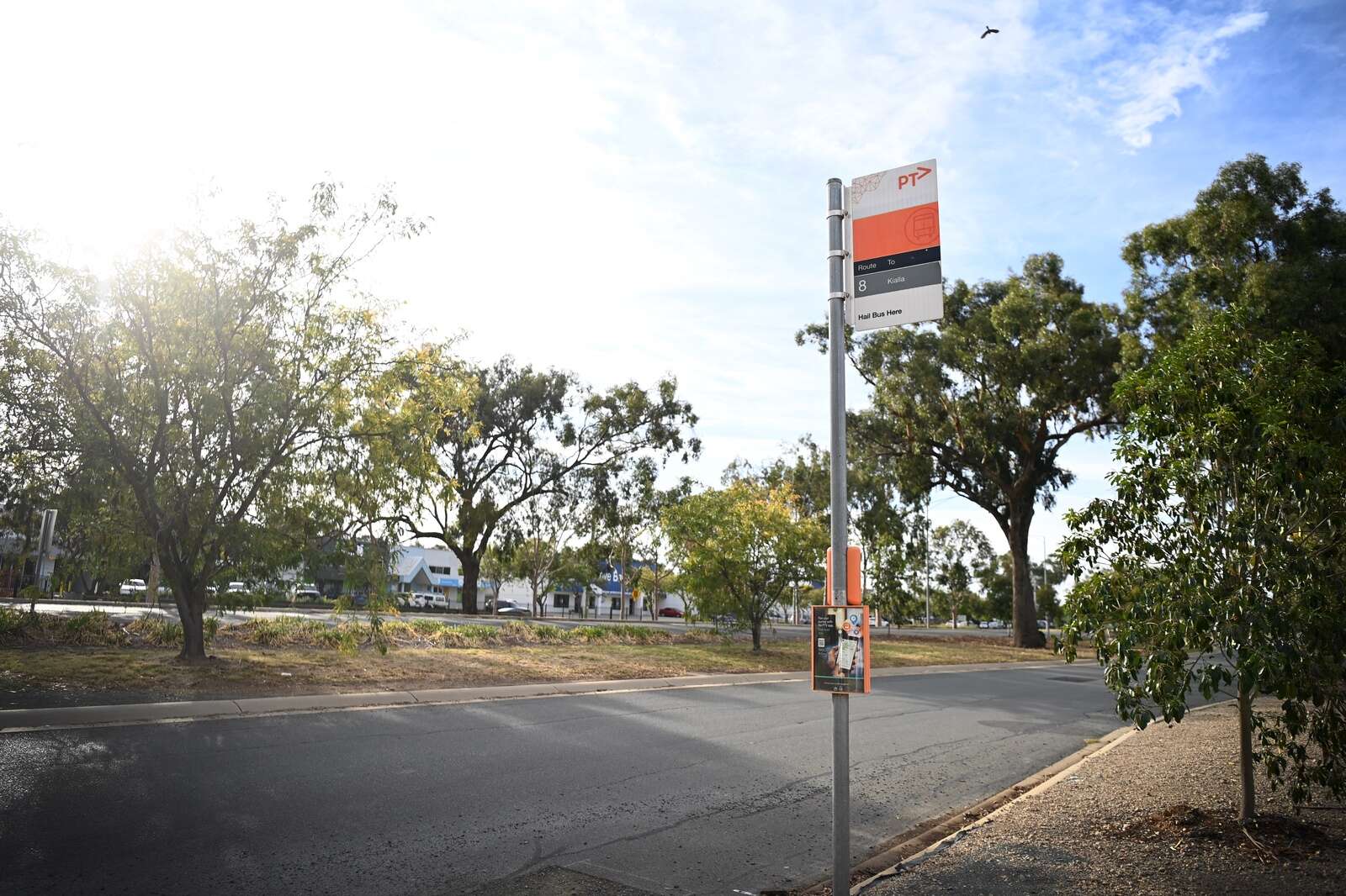 Shepparton misses out on bus network review | Shepparton News