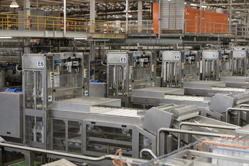 SPC begins processing new super fruit | Shepparton News