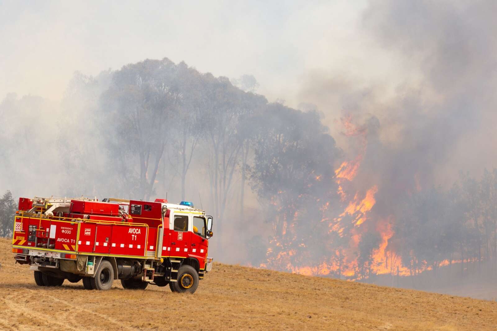 UPDATE: Monitor conditions of Trawool bushfire | Riverine Herald