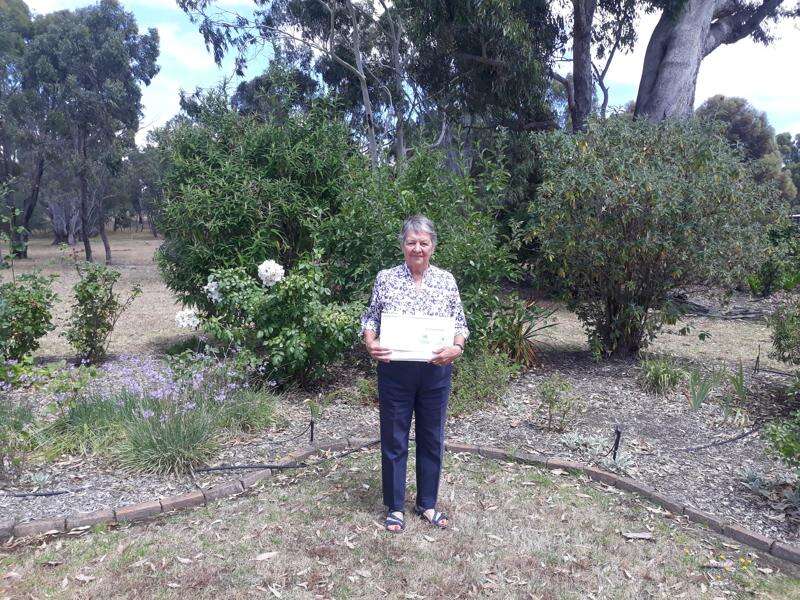 Seymour doctor acknowledged for work in eye care Seymour Telegraph