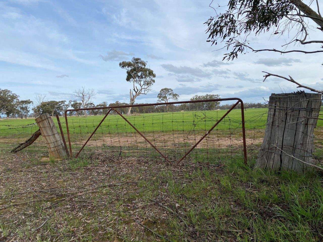 Back To Biosecurity Basics Dairy News Australia