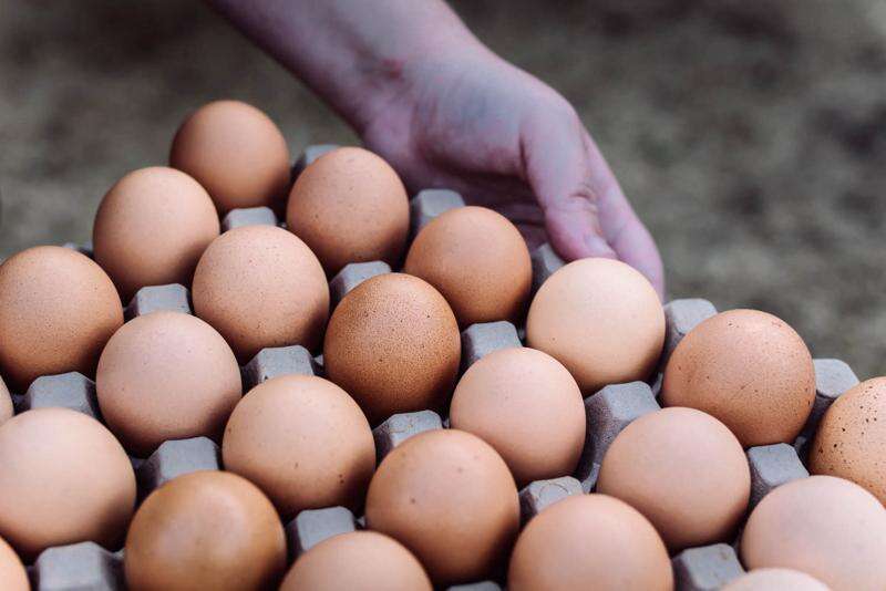 Egg shortage is demand issue Australian Eggs Country News