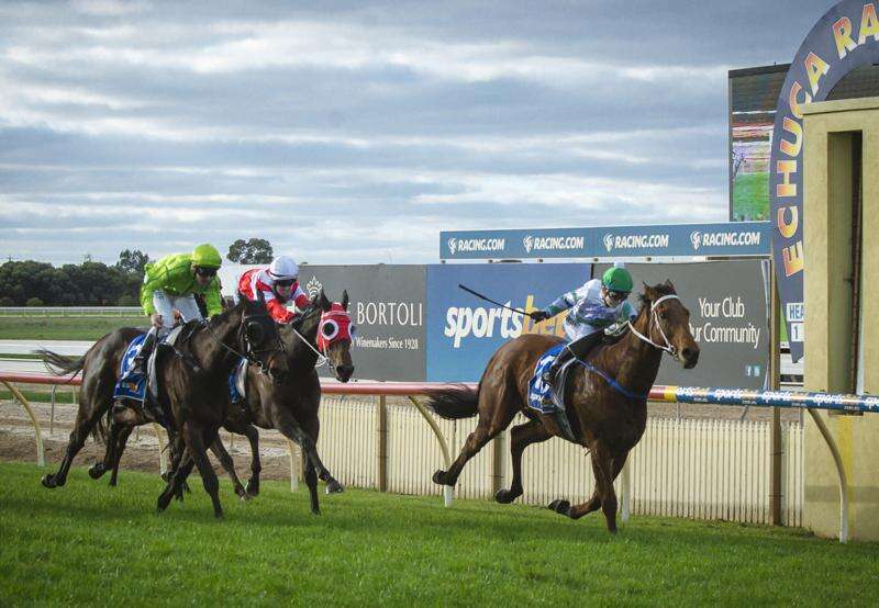 Racing reflections | Echuca Cup | Riverine Herald