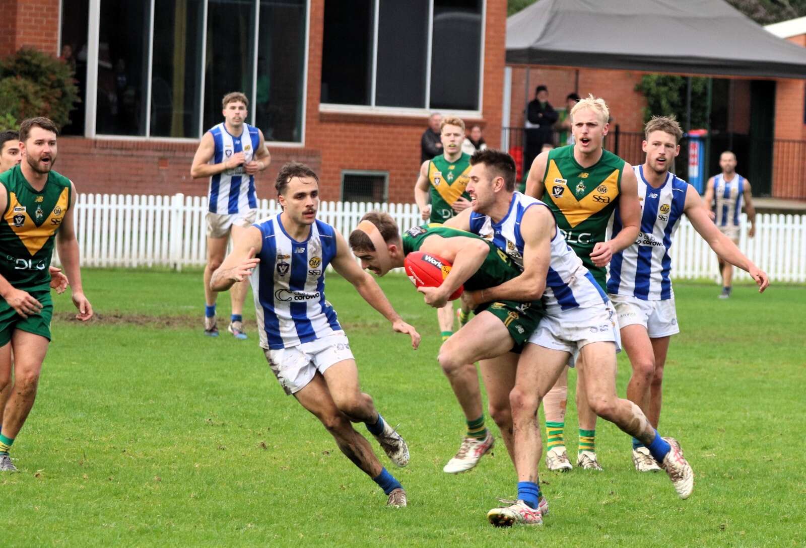 Gallant Roos fall short