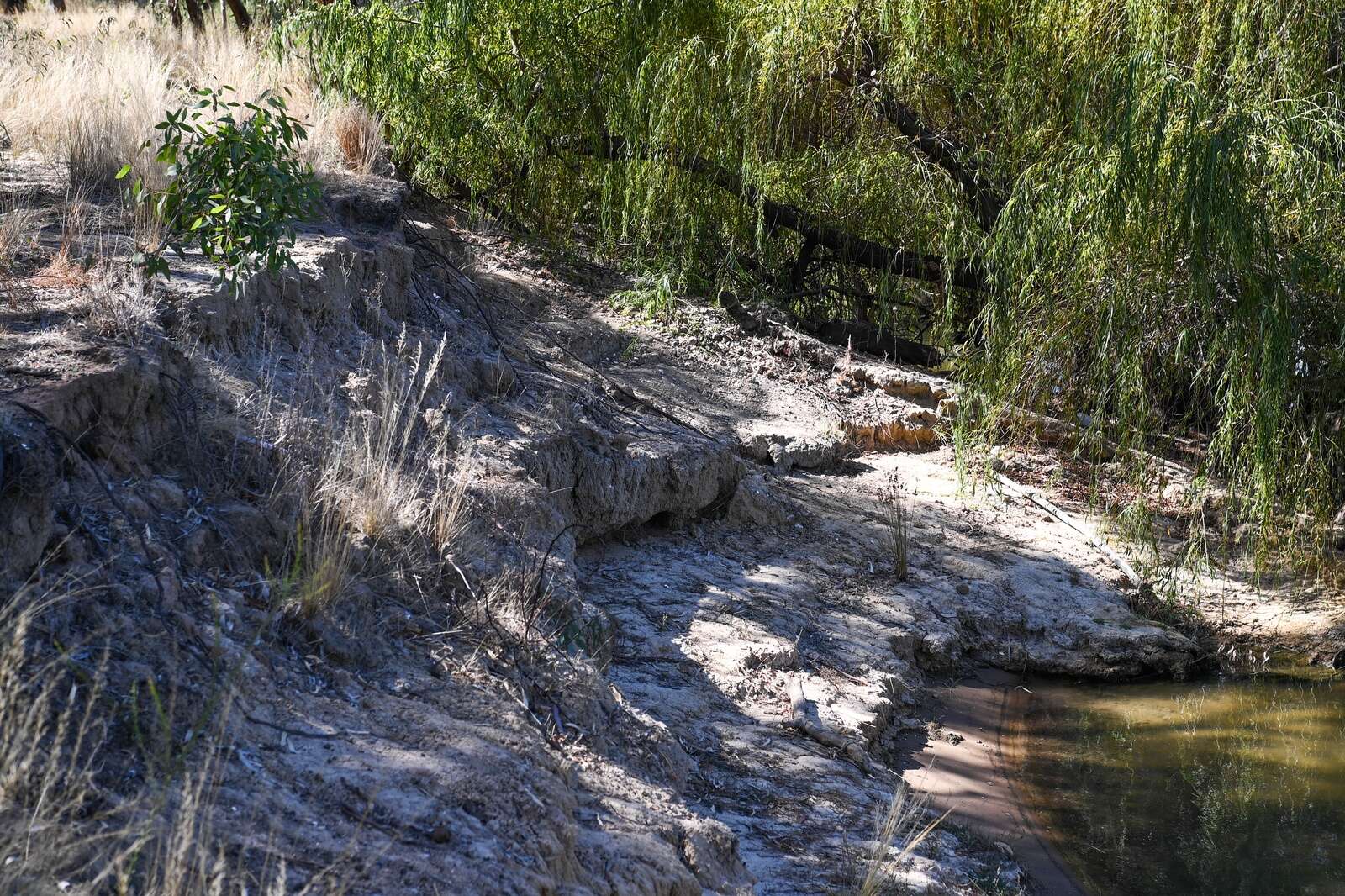 Ancient Aboriginal site trashed by campers | Cobram Courier