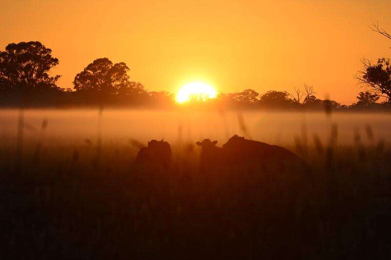 Farm profits take a hit