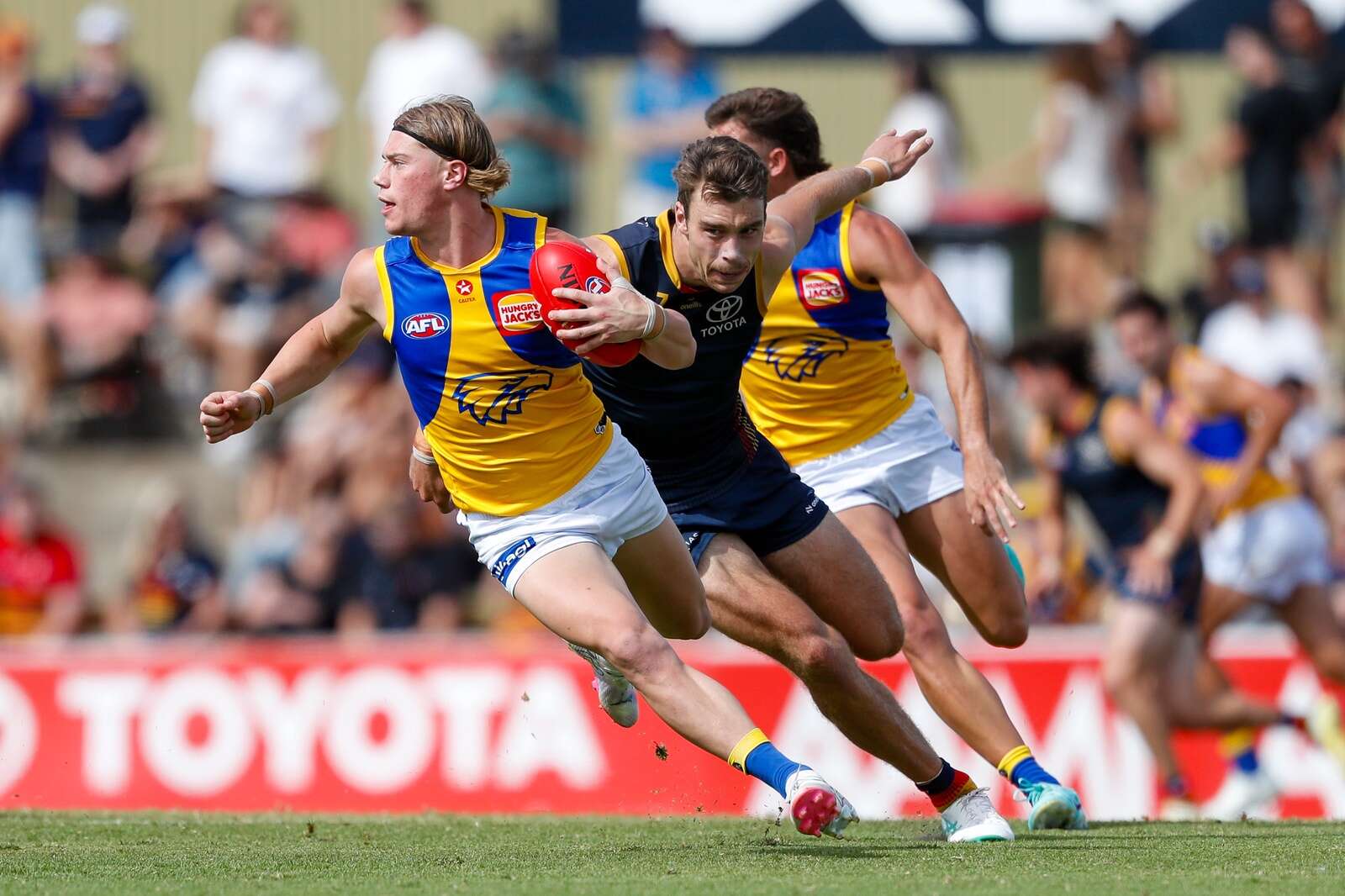 Region’s AFL exports firing ahead of season | Riverine Herald