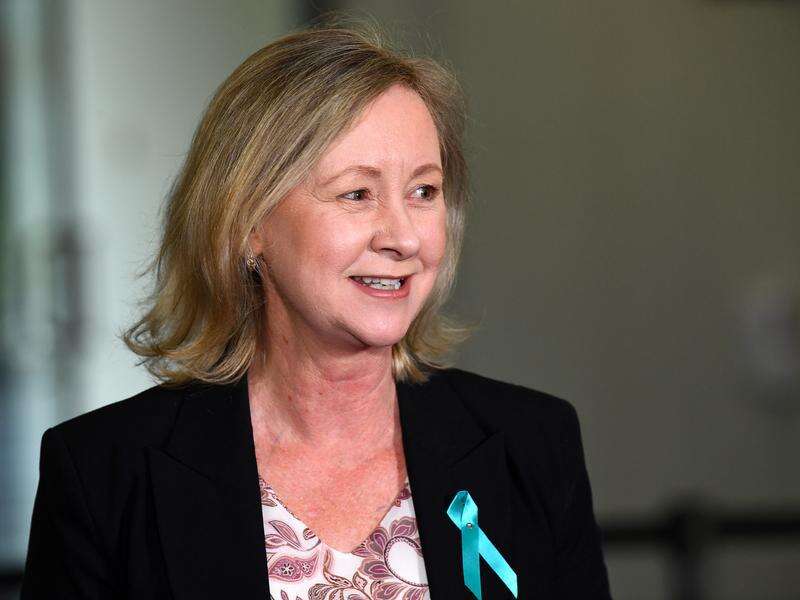 Qld AttorneyGeneral to quit before next election Seymour Telegraph