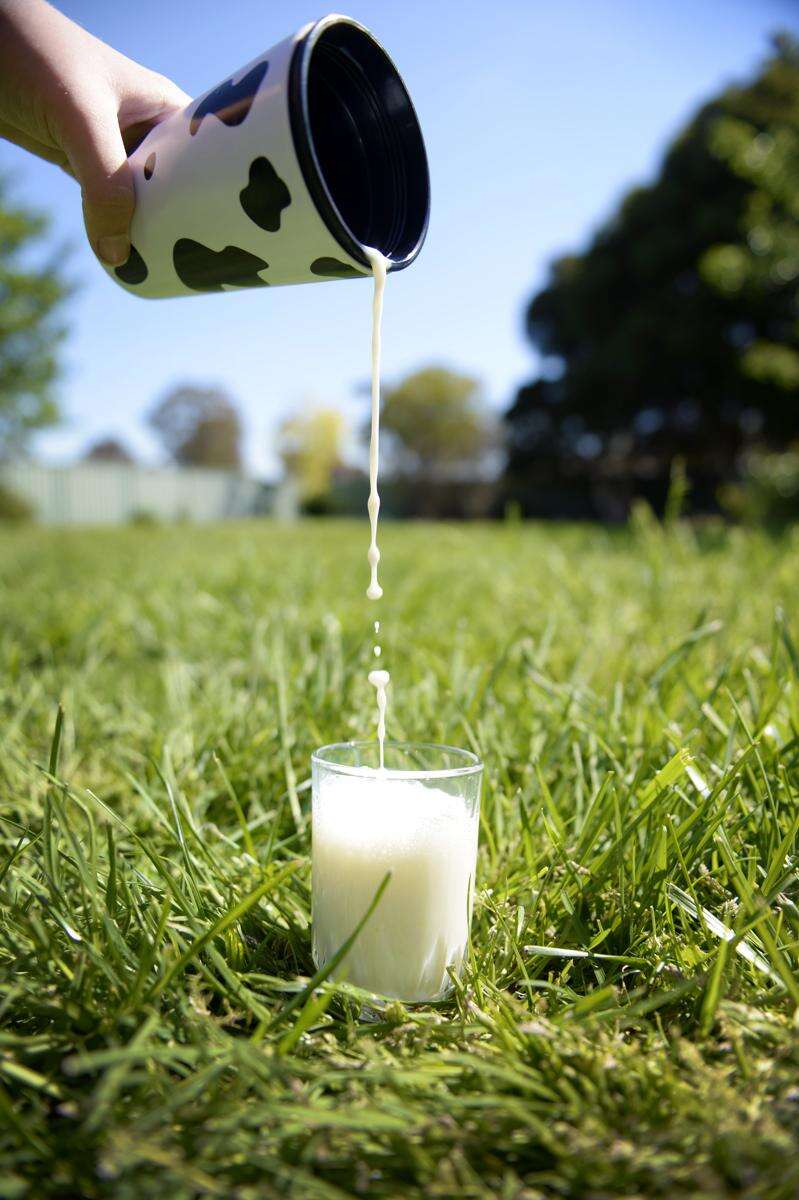 Newseason farm gate milk prices announced Country News