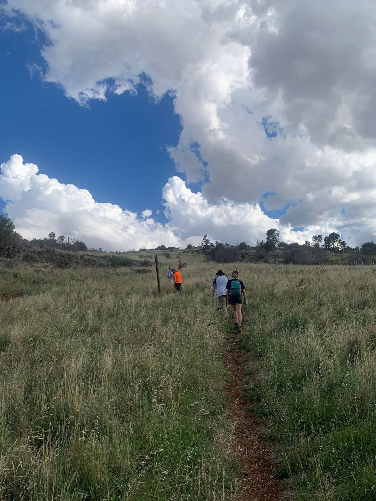 Breaking barriers: How Nature Scripts is Rewriting the Story of Mental